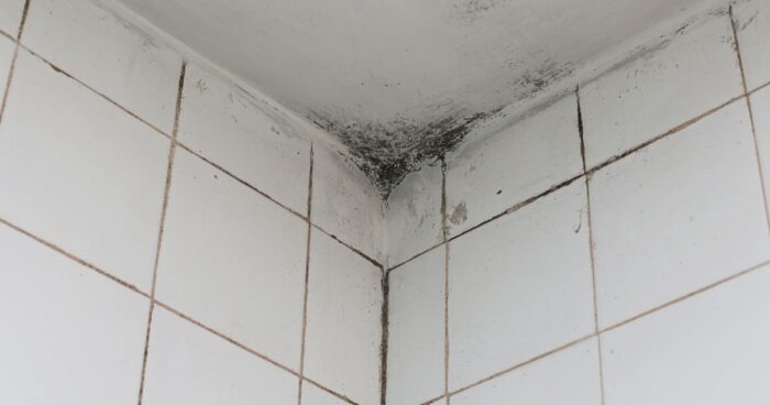 Pokud máte doma vyšší vlhkost (vlhkost si můžete změřit jednoduše vlhkoměrem, který stojí pár korun), je vhodné používat odvlhčovač vzduchu. 