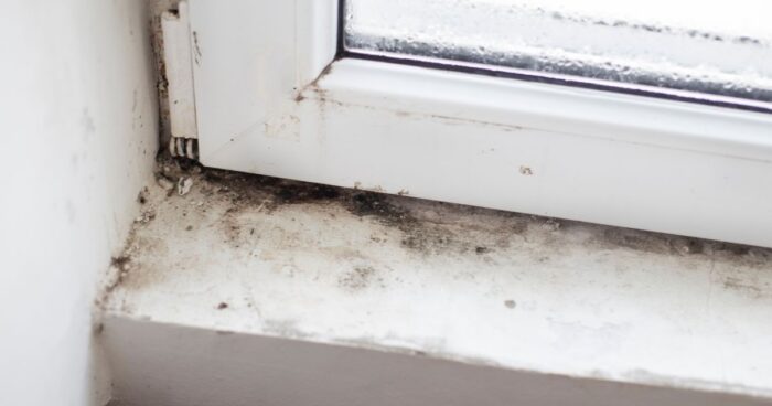 If you have found mould in your home, it is important to remove it as soon as possible. If the mould regularly returns to the same spot, it could be a sign of a bigger problem. In such a case, it is advisable to contact a specialist to find out the cause and suggest a suitable solution.