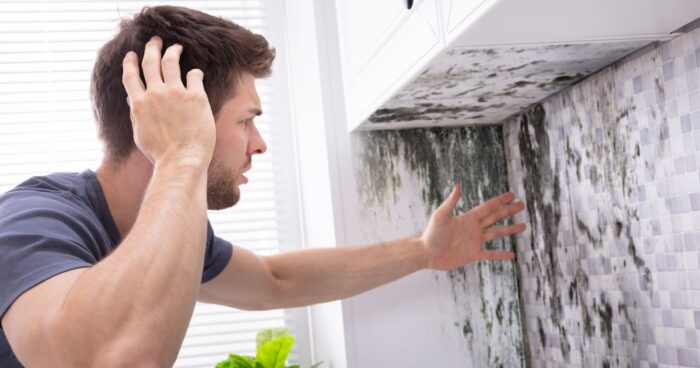 Mould can have a negative effect on our health. In this article, we look at why moulds form, what to look out for, how to prevent them and how to get rid of them.