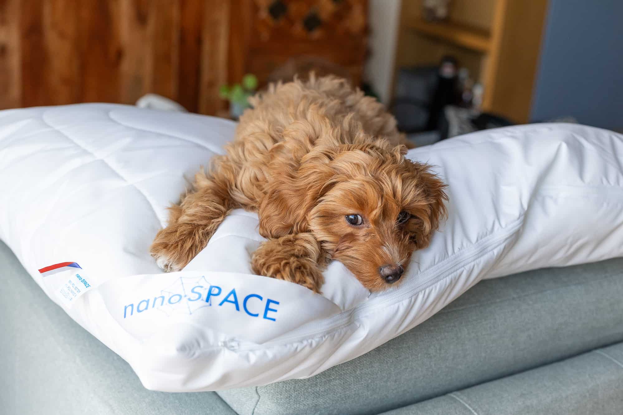 Recenze: Protiroztočový polštář nanoSPACE pro alergiky