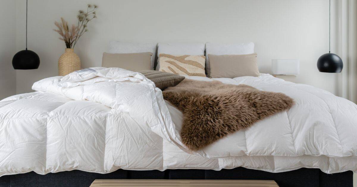 Možná jste už v obchodě nebo na internetu narazili na přikrývky s nálepkou „antialergické" a mysleli si, že máte vystaráno. Bohužel, skutečnost je komplikovanější a většina těchto produktů nefunguje.