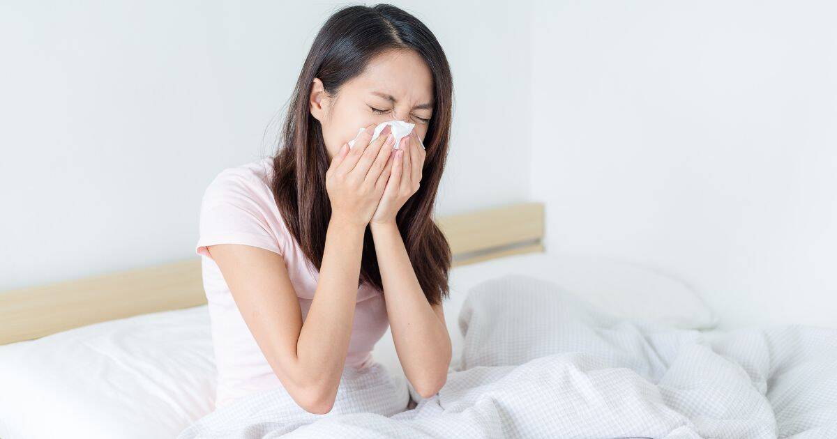 Alergie na roztoče patří mezi nejčastější chronické alergie na světě. Trápí téměř 20 % populace a může způsobovat řadu nepříjemných příznaků od ranní rýmy přes kýchání až po astmatické záchvaty. 